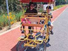 -上海长兴岛郊野公园