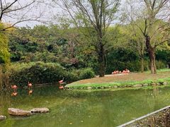 -上海野生动物园