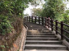 -羚羊峡古栈道森林公园