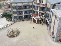 -泉城欧乐堡海洋极地世界