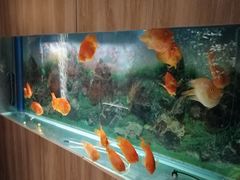 -华夏良子·足道SPA艾灸(王府井店)