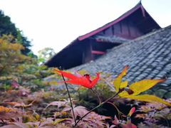 -峨眉山报国寺