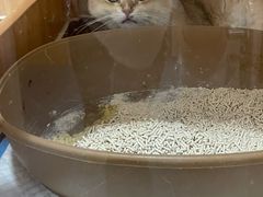 -美联众合动物医院(·中兽医·疑难杂症·严家桥分院)