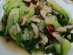 -乡土特色.冷锅鱼.牦牛肉汤锅