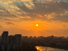 -万绿园