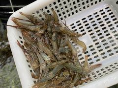-江南粥家庄(宁国路店)