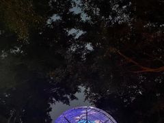 -广州长隆国际大马戏
