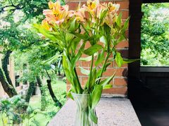 -近代中国十八先贤铜像广场(广州校区)