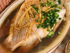 清蒸彩云鲷-聂记粤菜馆(鼓西路店)