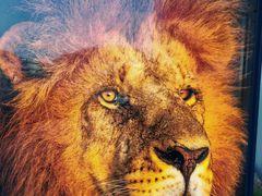 -罗红摄影艺术馆