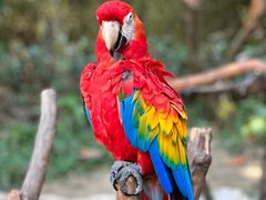 -杭州野生动物世界