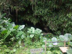 -海口火山口国家地质公园