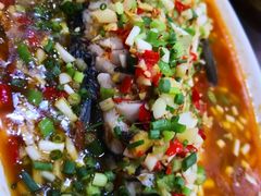 -飞虹鱼馆(春华路店)