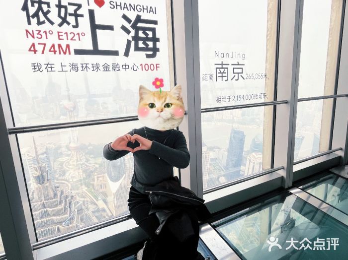 上海环球金融中心骑迹50年环球之旅图片