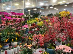 -双季花艺园艺市场(浦东店)