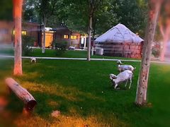 -九十九顶毡房(阜石路店)