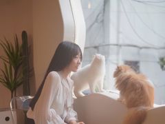 -More Fun猫咖 二十只万元加菲主题