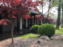 -禧宴Joyous Restaurant(禧园店)