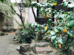-拙政园
