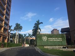 -三亚湾红树林度假世界(木棉酒店)