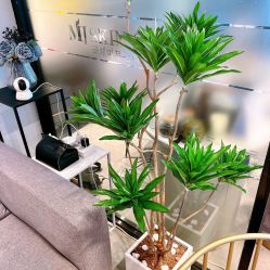 -MJ skin care国际皮肤管理中心