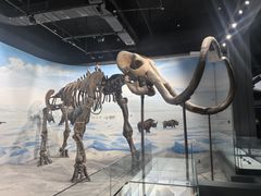 -辽宁古生物博物馆