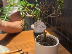 -CURRY YA 熟成咖哩專門店(深圳湾万象城店)