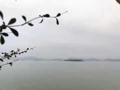 -七鲜渔港美食餐厅(巽寮湾海景店)