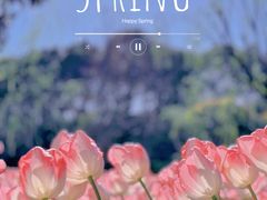 -上海鲜花港