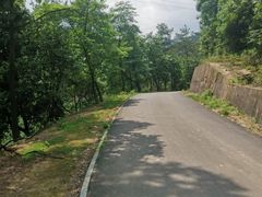-天花井景区