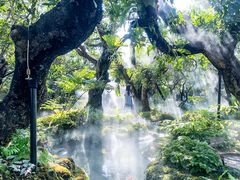 -Chom Cafe and Restaurant