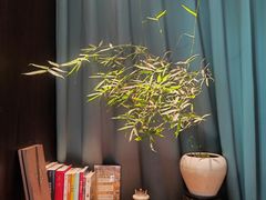 -王府茶楼茶宴·创意菜(朝阳公园店)