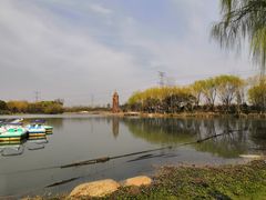 -昆山城市生态森林公园