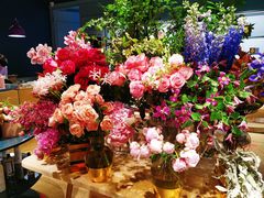 -BEAST野兽派(上海浦东嘉里城店)