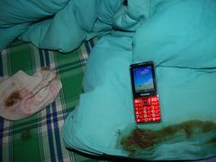 -何鲜菇火锅(大营盘店)