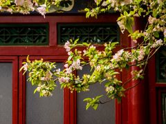-海棠花溪(元大都城垣遗址公园)