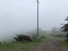 -许家山