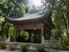 -汇龙潭