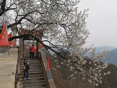-圣莲山风景区