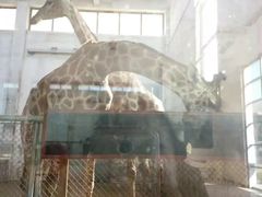 -辛玛王国游乐园