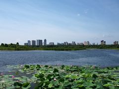 -哈尔滨大剧院
