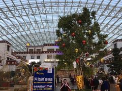 -拉萨圣地天堂洲际大饭店-自助餐厅
