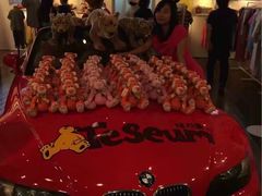 景点-济州岛泰迪熊博物馆