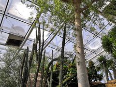 -北京植物园-展览温室