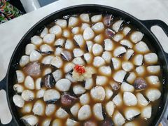 -顺德哥卜卜贝(旗舰店)