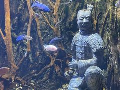 -华夏文旅海洋公园