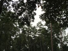 -保利石象湖景区