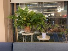 -观塘港茶餐厅(八一大道店)