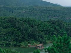 -大姆山草场