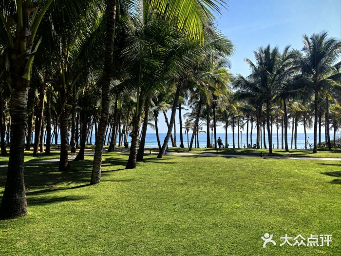 三亚海棠湾君悦酒店图片